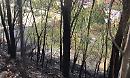 Melfi, pericoloso incendio aggredisce la "Bicocca"