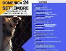 "Zero cani in canile", il progetto nato a Vieste piace anche ai sindaci brindisini  