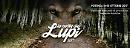Potenza-Tricarico, una notte da lupi 