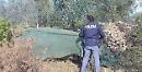 Omicidio a Vieste,  ucciso il cugino del boss: era circondato da maiali 