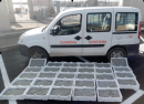 Maxi-sequestro di bianchetto della Guardia Costiera: sottratti al mercato illegale 200 chilogrammi 