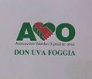 Entusiasmo e commozione per i volontari Avo Don Uva e Ospedali Riuniti di Foggia nell’incontro con Papa Francesco