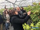 Braia apparecchia l'ortofrutta della Basilicata da gustare a Berlino