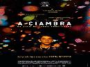 Lucania Film Commission, 7 nomination per “A Ciambra” ai David di Donatello