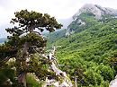Turismo, la Basilicata investe su quattro attrazioni a contatto con la natura
