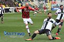 Da Parma un solo grido: "Grazie Foggia!" 