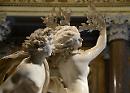 Perché la corona d’alloro? La metamorfosi di Dafne

