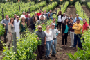 Gran Vinitaly 2018, la cantina dell'anno è di Rionero in Vulture: Cantine del notaio conquista Verona