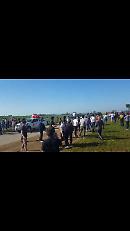 Corsa dei buoi a Chieuti: travolto e ucciso spettatore 