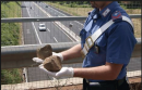 Statale 16: lanciano sassi dal cavalcavia e colpiscono auto, nessun ferito