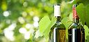 Produzione di vino "bio, la Basilicata è la prima regione in Italia