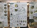 "Architettura della vergogna", il progetto di rigenerazione urbana per Matera 2019