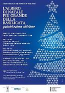 A Tito l'albero di Natale più grande della Basilicata e del Sud Italia