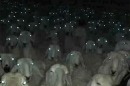 “Luminarie" d'Abruzzo a Pescasseroli per i 5mila foggiani figli della transumanza