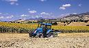 Imprese agricole under 25, Agia-Cia: "Il primato va alla Basilicata"