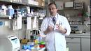 Crob di Rionero in Vulture,  Alessandro Sgambato nuovo direttore scientifico 