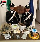 Rodi Garganico, scoperta una "Santabarbara": arrestato 30enne