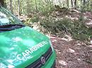 Francavilla, beccato dai carabinieri forestali il tagliatore di cerri del Pollino