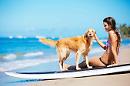 Animali in spiaggia, la Regione Puglia fa ordinanze contro la propria legge: incredibile!