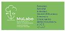 MuLabo – Museo Laboratorio delle Arti e del Paesaggio, oggi l'inaugurazione a Brienza
