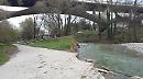 Parco fluviale del Basento, Rosa: "A breve una pulizia straordinaria"