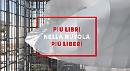 ''Più libri Più liberi'', presente alla fiera anche l'editoria lucana 