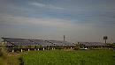 Fotovoltaico, in provincia di Foggia il primo impianto italiano "market parity" da 10 MW
