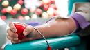 Il bilancio dell'Avis lucano: «18000 unità di sangue raccolte»