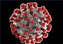 Corso di sopravvivenza al panico da coronavirus