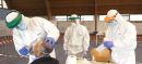 Coronavirus, a Vietri di Potenza oltre 300 test su categorie a rischio: tutti negativi