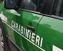  Peculato e concussione, arrestati due carabinieri a Potenza 