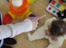 Schiaffi, colpi sulla testa e insulti ai bambini: sotto inchiesta quattro maestre di asilo a Carapelle