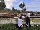 La Guardia Costiera di Manfredonia sequestra 4 letti di essiccazione di fanghi da depurazione