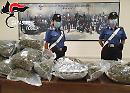 Da Vieste alla stazione di Foggia con 14 chili di marijuana: arrestati dai Carabinieri due pregiudicati