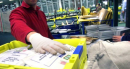 Poste: a Potenza e in provincia boom e-commerce. A dicembre consegnati 27 milioni di pacchi