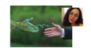 Il nuovo ministero della Transizione ecologica visto da una studentessa di Scienze forestali