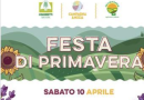 Matera, al mercato di Coldiretti arriva il gelato di latte d'asina