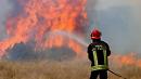 La Capitanata brucia: 40 ettari di grano in fumo tra Foggia e San Severo