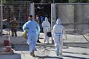 La calda estate del ministro Lamorgese. Lampedusa al collasso e come per il 2020, la GVN fa en plein per la quarantena a bordo 
