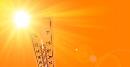 Dalla Tunisia arriva Scipione: al Sud previsti 41 gradi. Gli esperti: "ondata eccezionale"
