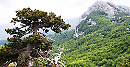 Cinesi innamorati di Matera e della faggete del Pollino: inaugurata la mostra fotografica del Parco Nazionale di Zhangjiajie