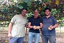 Bando agriturismo, dopo il flop dell'ultimo avviso arriva la proroga. Braia (Iv): «Che il comparto possa ripartire»