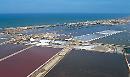 UniFg mette il sale sulla coda delle saline di Margherita di Savoia con una partnership innovativa per la formazione e le imprese