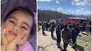 Elicotteri, cani e centinaia di persone alla ricerca di Nicole, la bimba di 5 anni scomparsa a Sant'Angelo Limosano