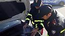 La Polizia di Ancona arresta una banda di Cerignola che faceva razzia di automezzi industriali fino alla Lombardia