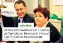 Che fine ha fatto il famigerato progetto di rilancio dell’Alsia?