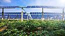 L'agricoltura concorre per l'8,5 per cento nella produzione di energia green
