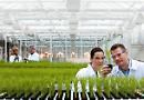 UniFg nella cordata per la nascita da 350milioni di euro del Centro Nazionale delle Nuove Tecnologie in Agricoltura