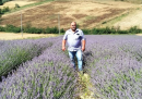 Bella, alla scoperta del campo di lavanda del produttore Donato Murano