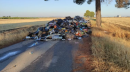 Strada provinciale invasa da rifiuti illegali a Cerignola, Gatta: "Criminali nemici della Capitanata"